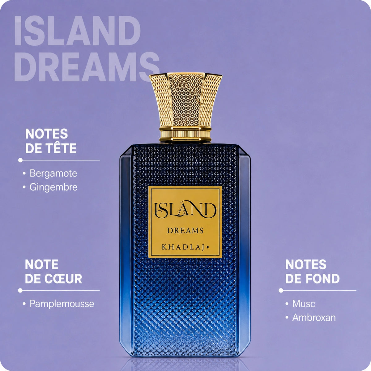 Island Dreams